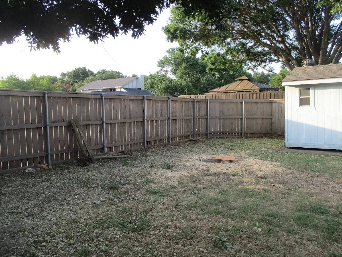 Cleared yard after professional tree removal in Candor